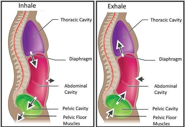 3 Ways to Reduce the Risk of Incontinence